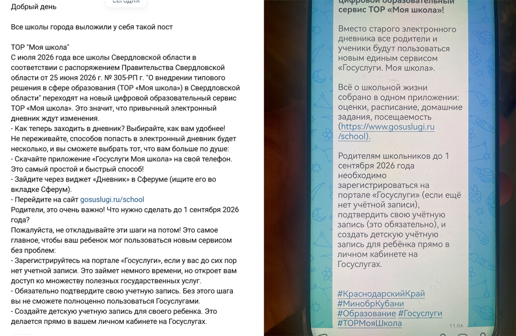 белый фон.png